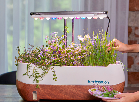 The Hydroponic Hootenanny: Dive into the Wonderful World of Hydroponic Planters!