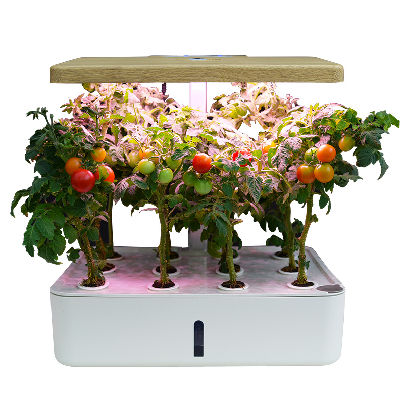 Automated hydroponic vegetable pot