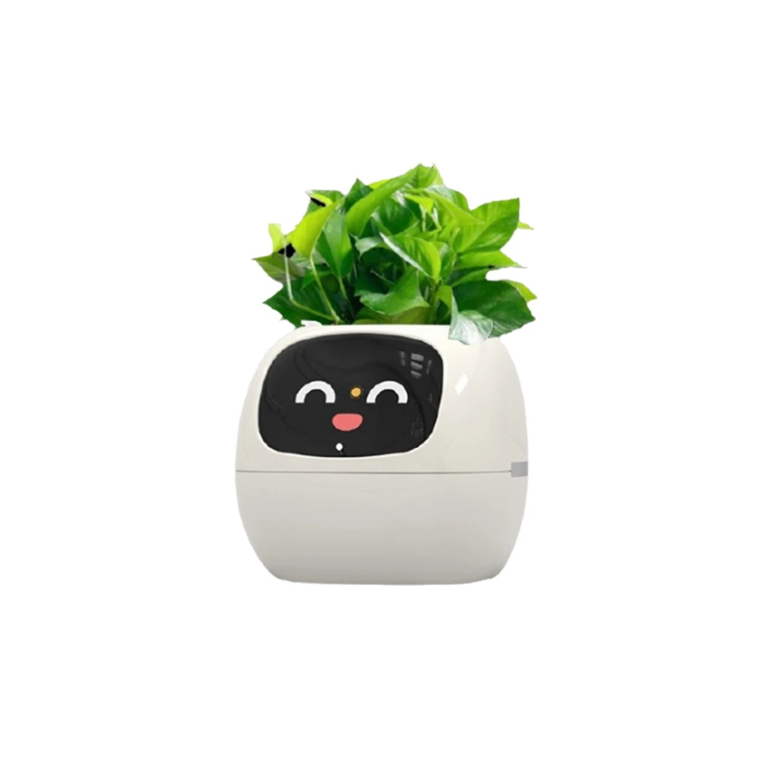 Ivy Smart Planter