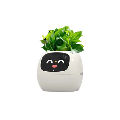 Ivy Smart Planter