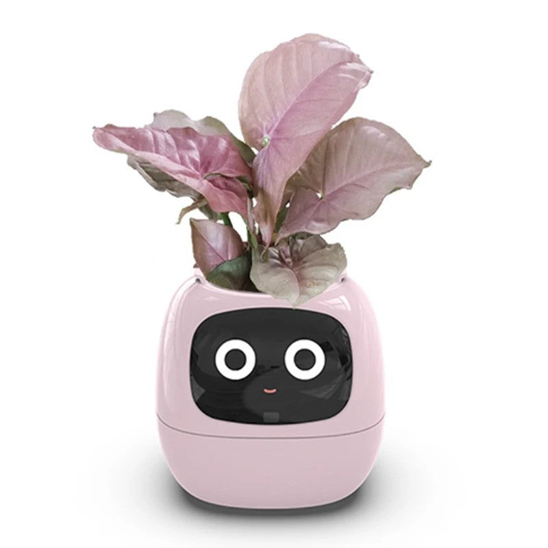 Ivy Smart Planter