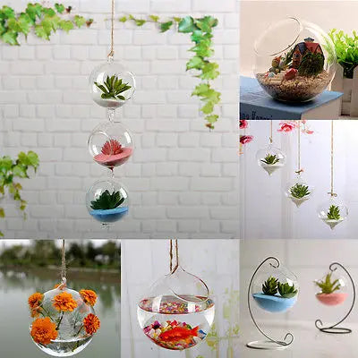 Terrarium Hanging Glass Flower Planter Vase