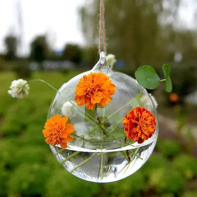 Terrarium Hanging Glass Flower Planter Vase