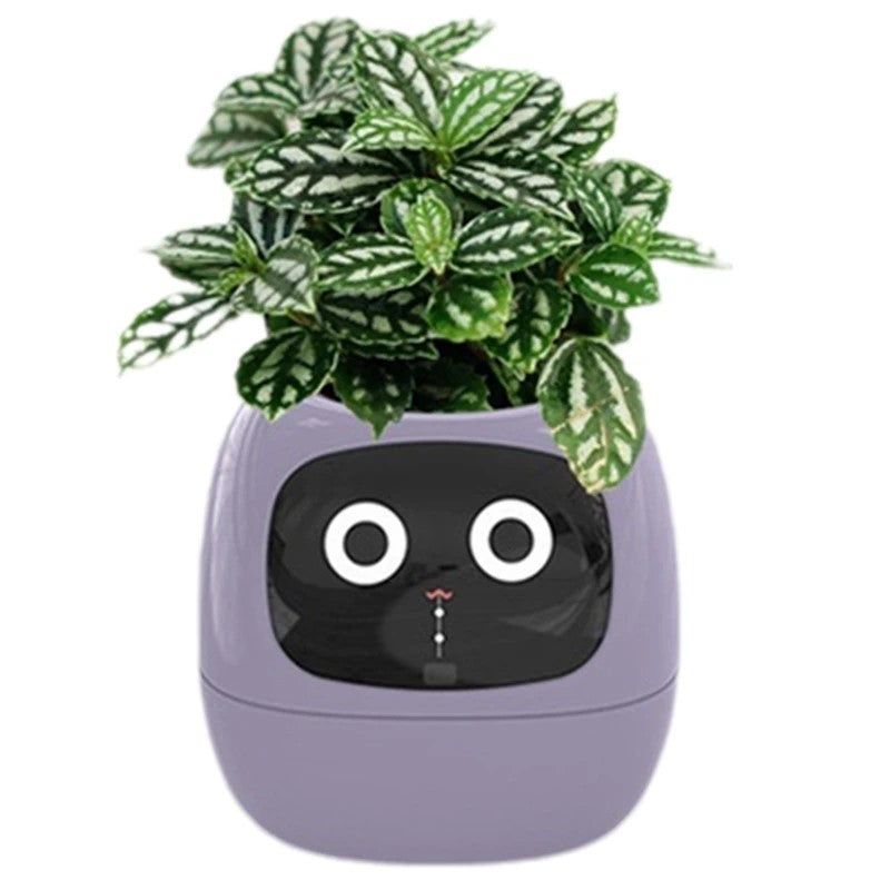 Ivy Smart Planter