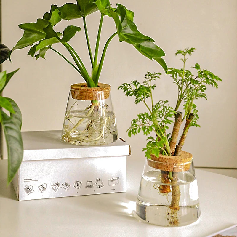 Minimalist Nordic Hydroponic Vase