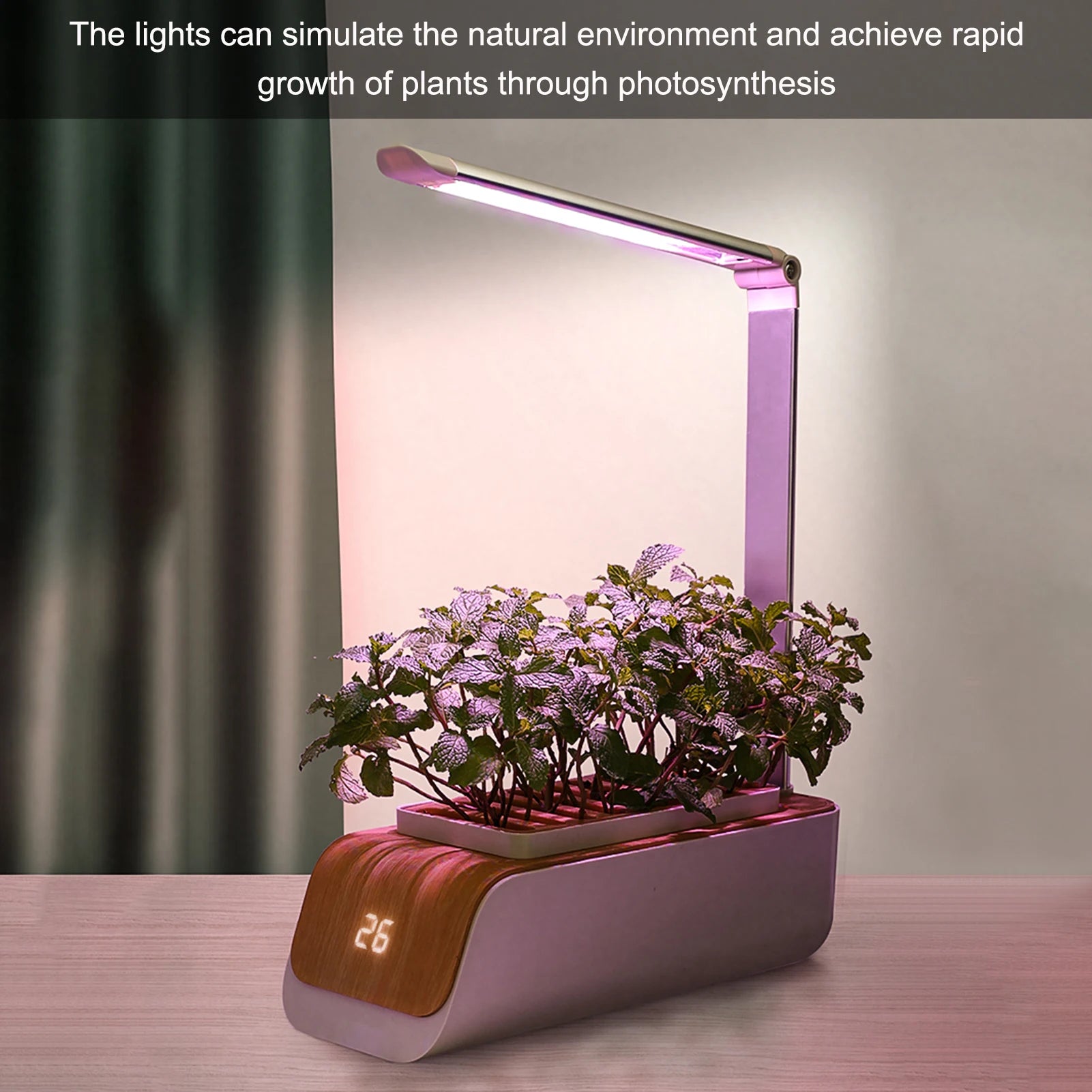 Smart Hydroponic Growing System with LED Lights and Timer for Indoor Herbs