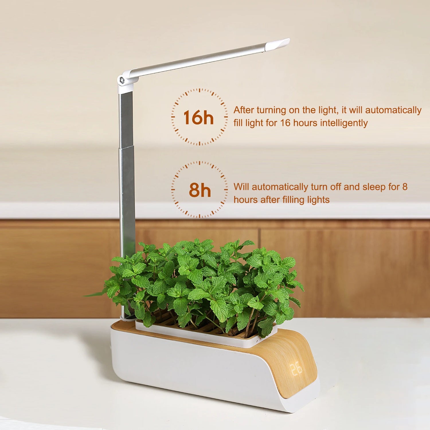 Smart Hydroponic Growing System with LED Lights and Timer for Indoor Herbs