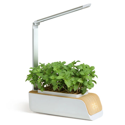 Smart Hydroponic Growing System with LED Lights and Timer for Indoor Herbs