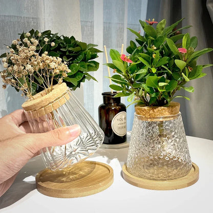 Minimalist Nordic Hydroponic Vase