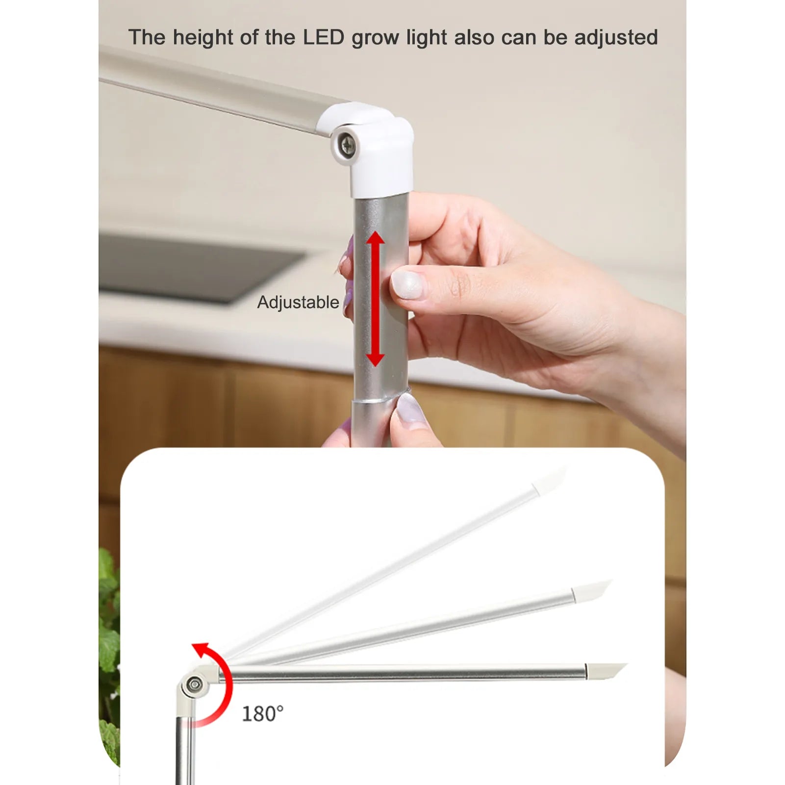 Smart Hydroponic Growing System with LED Lights and Timer for Indoor Herbs