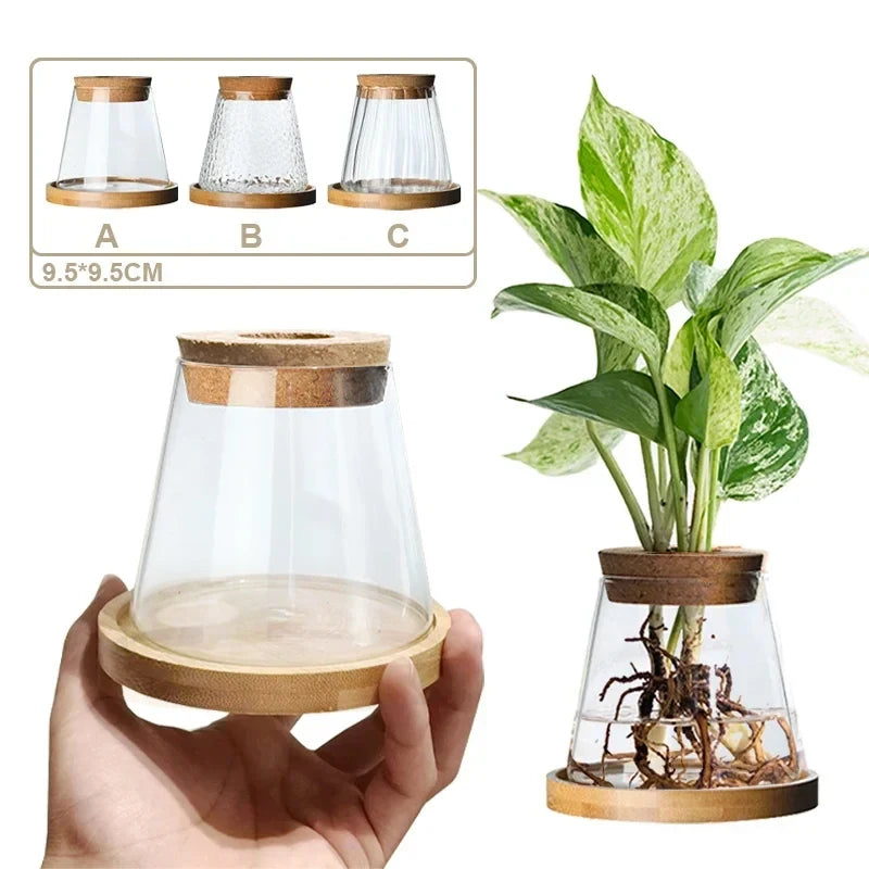 Minimalist Nordic Hydroponic Vase