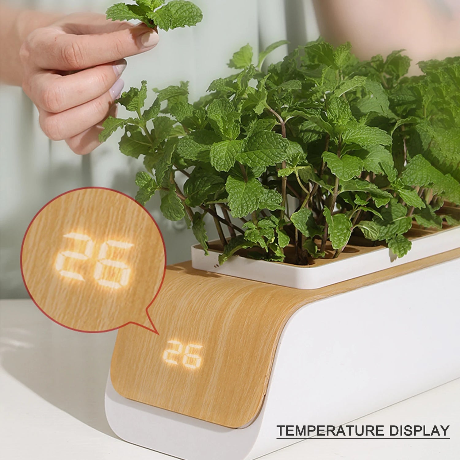 Smart Hydroponic Growing System with LED Lights and Timer