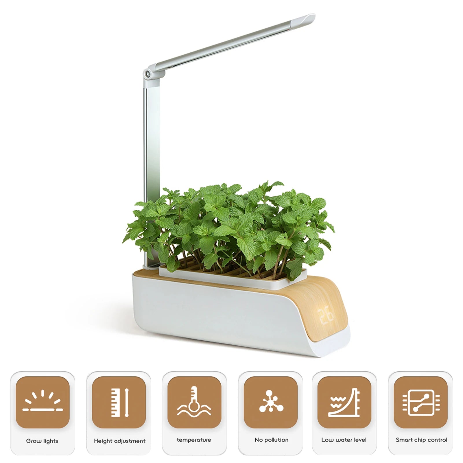 Smart Hydroponic Growing System with LED Lights and Timer for Indoor Herbs