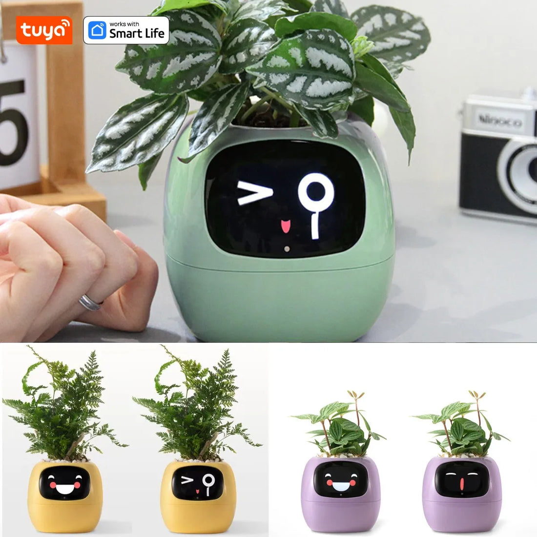 Ivy Smart Planter