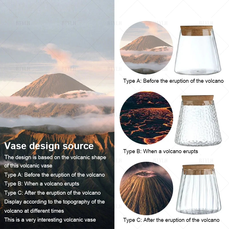 Nordic Creative Hydroponic Vase