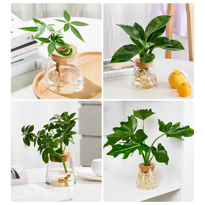 Minimalist Nordic Hydroponic Vase