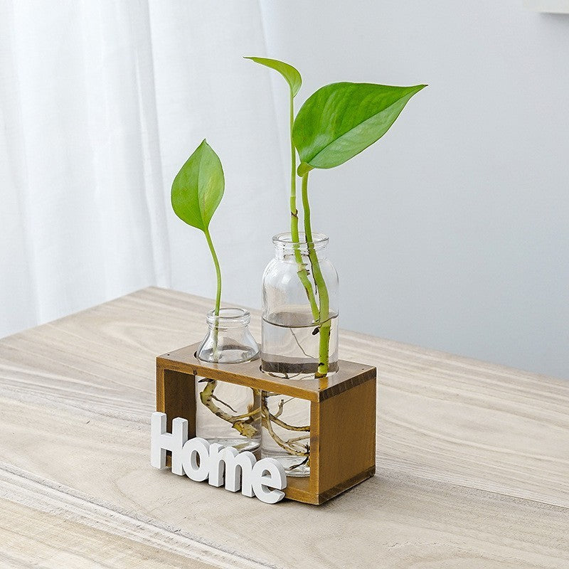 Simple And Fresh Glass Vase Hydroponic